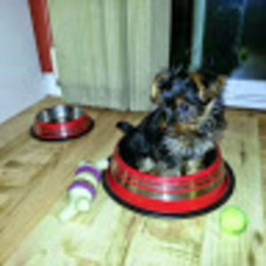 Meet your Posher, Layne